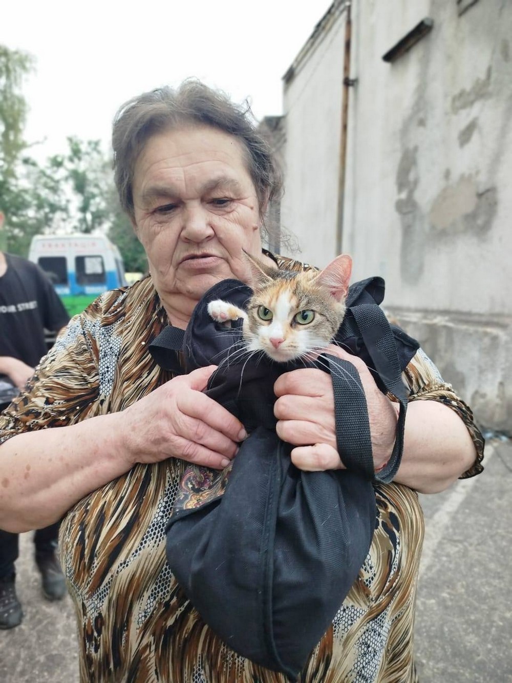 Коли їжа почала закінчуватися, він попросив забрати котів…»: на прифронтових територіях щодня історії до сліз – вони про людяність…