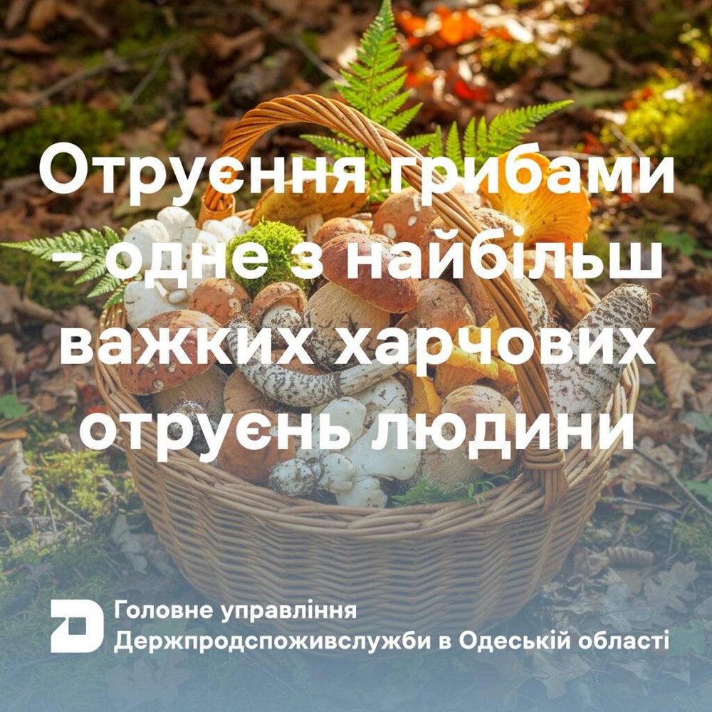 випадок отруєння грибами на Одещині