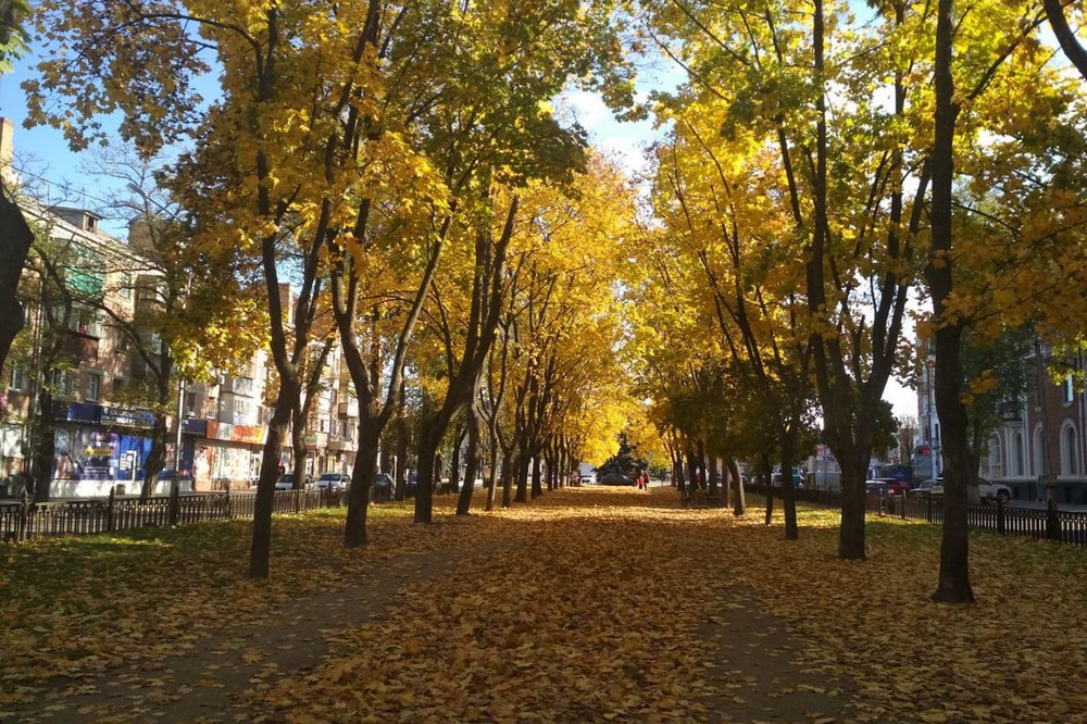 Міжнародні й державні свята у жовтні 3