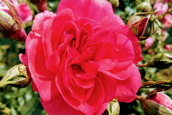 17 вересня – яке сьогодні свято, прикмети і традиції, пам’ятні дати, іменини