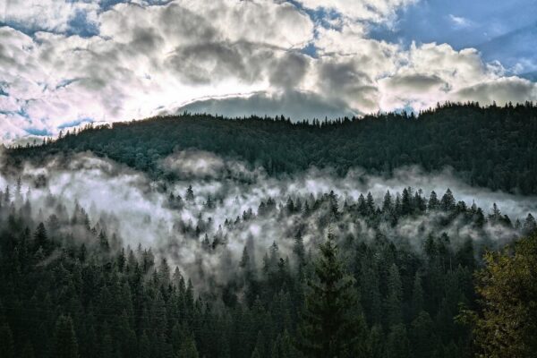 19 вересня – яке сьогодні свято, прикмети і традиції, пам’ятні дати, іменини