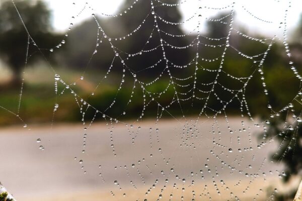 11 вересня – яке сьогодні свято, прикмети і традиції, пам’ятні дати, іменини