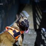 Нічна повітряна атака 21 вересня: знову поранено рятувальників, горіли склади – все, що відомо (фото)