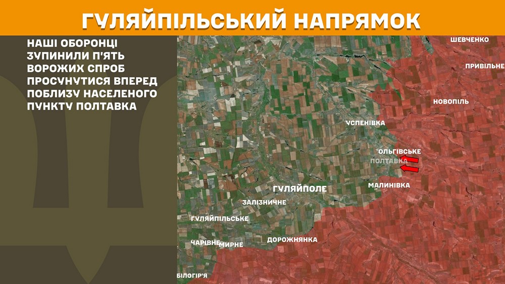 гуляйпільський