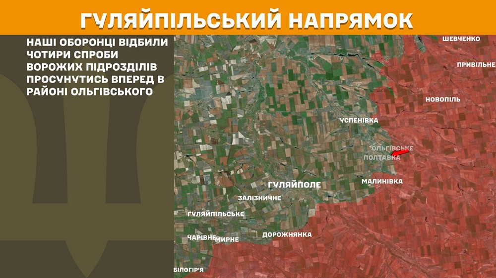 гуляйпільський n