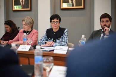 Права нацменшин в Україні захищені, європейські партнери переконалися в цьому – Дмитро Лубінець