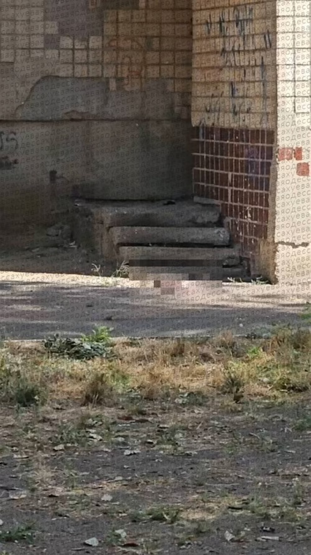public (1) Викинула новонароджене немовля з вікна: обставини трагедії в Одесі встановлює поліція
