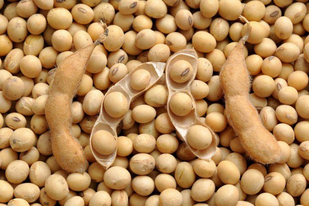 Медики назвали ТОП-5 продуктів, які покращать настрій
