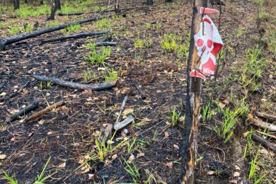 Два автомобіля вибухнули біля кордону з Білоруссю: п’ятеро загиблих (фото)