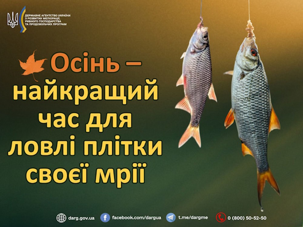 Названо рибу, яку найкраще ловити восени