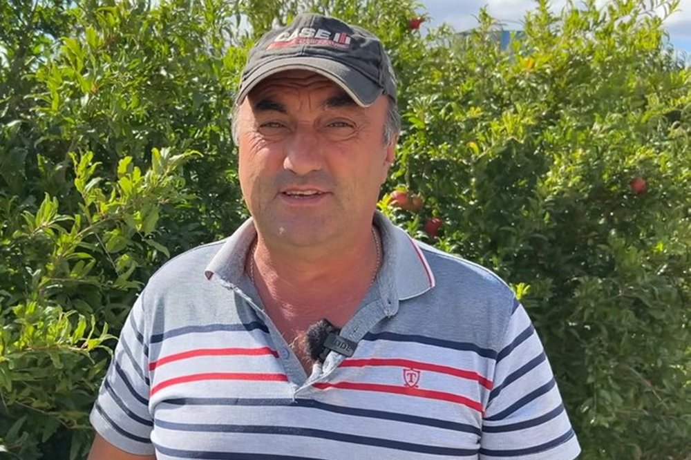 аграрій перетворив пустир на гранатовий сад на Одещині