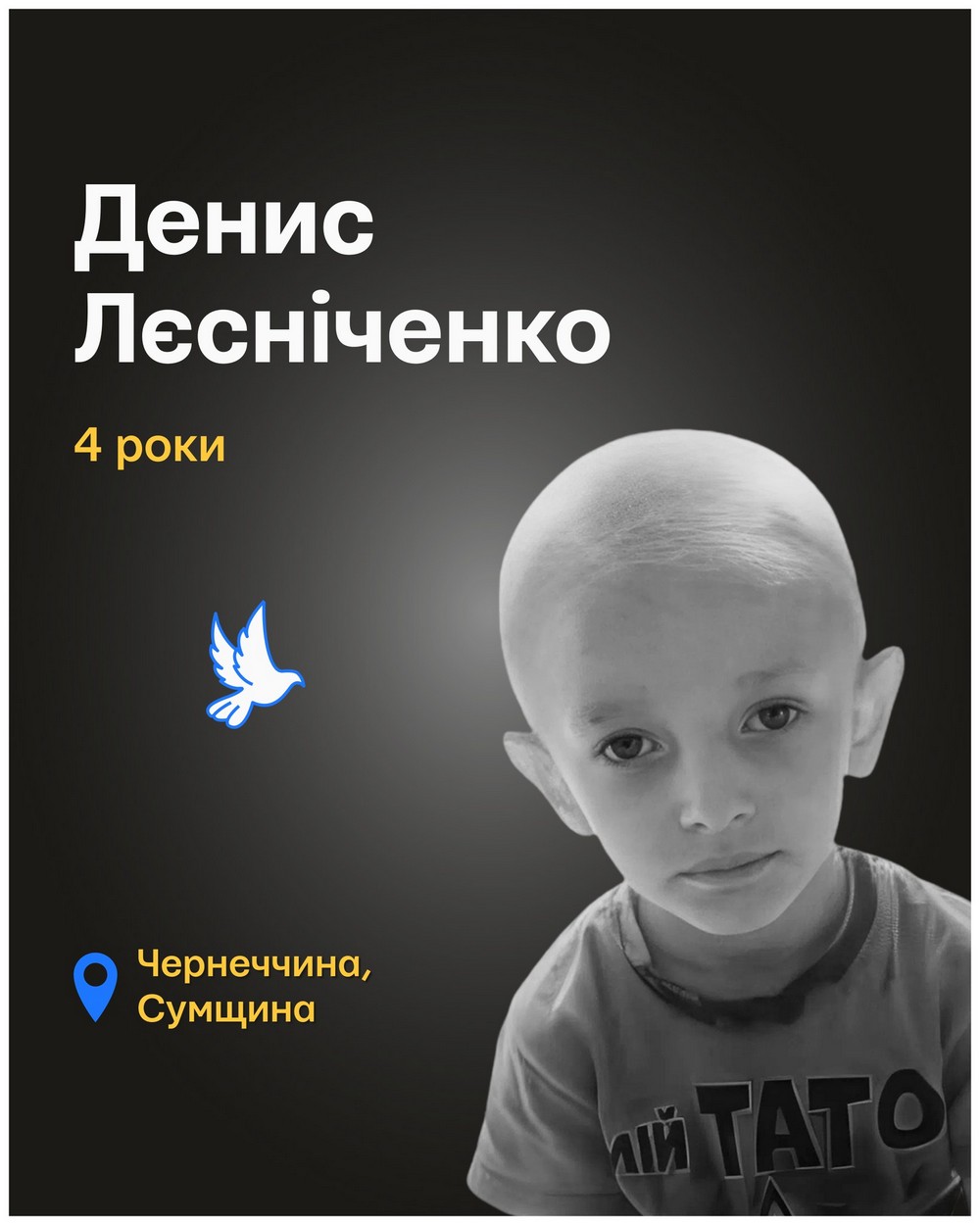 Вбиті росією. Денис Лєсніченко був добрим, уважним і чуйним. Ходив до дитячого садка. Вчився їздити на велосипеді. Любив гратися зі старшим братом, разом з яким, а також з обома батьками і загинув. У будинок родини влучив ворожий безпілотник.