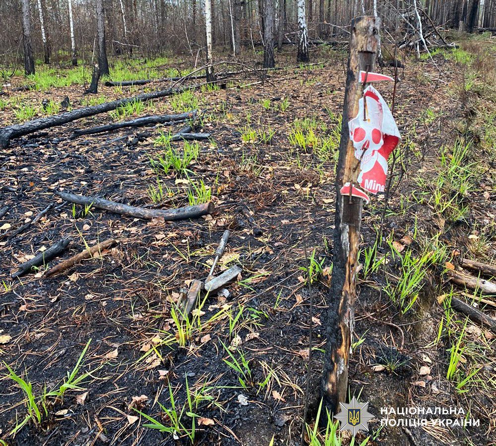 Два автомобіля вибухнули біля кордону з Білоруссю: п’ятеро загиблих (фото) Два автомобіля вибухнули біля кордону з Білоруссю: п’ятеро загиблих (фото)