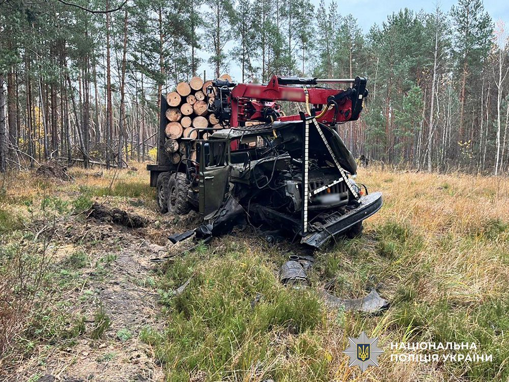 574575100 1233141458845166 6462219340608100298 n 574575100 1233141458845166 6462219340608100298 n