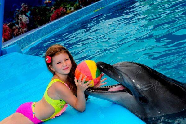 Родини ВПО на Львівщині можуть безкоштовно відвідати дельфінарій: триває реєстрація