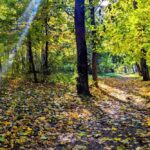 4 жовтня – яке сьогодні свято, прикмети і традиції, пам’ятні дати, іменини