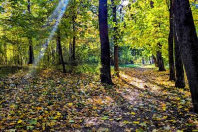 4 жовтня – яке сьогодні свято, прикмети і традиції, пам’ятні дати, іменини