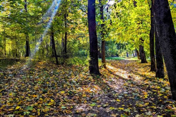 4 жовтня – яке сьогодні свято, прикмети і традиції, пам’ятні дати, іменини