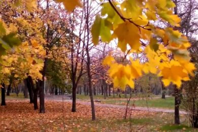 Осінні канікули в Україні – коли стартують та де їх скасували