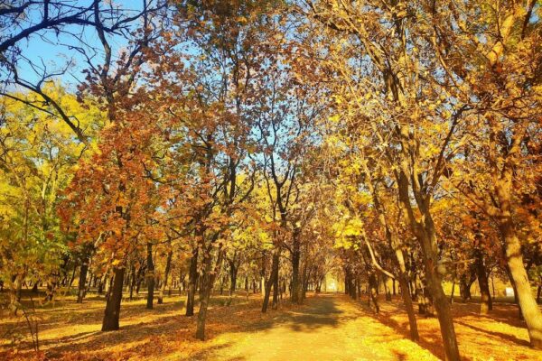 13 жовтня – яке сьогодні свято, прикмети і традиції, пам’ятні дати, іменини