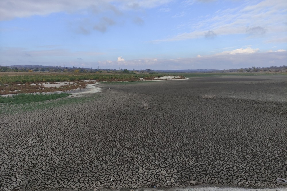 На дні Каховського водосховища виросли дерева гіганти На дні Каховського водосховища виросли дерева гіганти