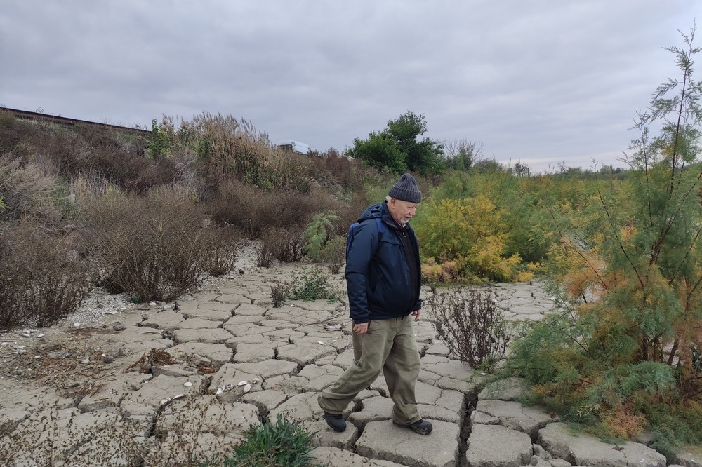На дні Каховського водосховища виросли дерева гіганти 5 На дні Каховського водосховища виросли дерева гіганти 5