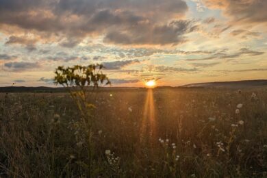 7 жовтня – яке сьогодні свято, прикмети і традиції, пам’ятні дати, іменини