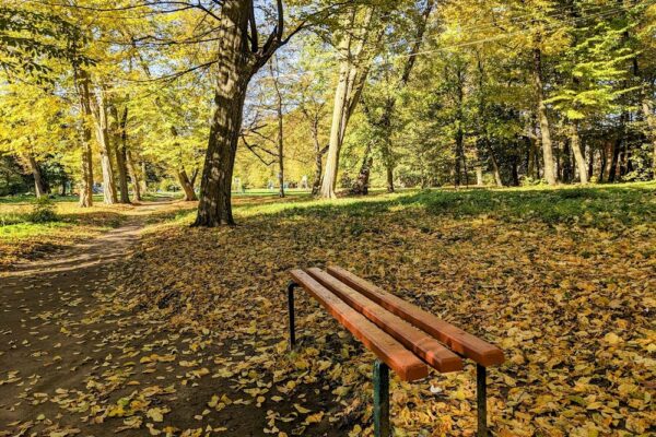 8 жовтня – яке сьогодні свято, прикмети і традиції, пам’ятні дати, іменини