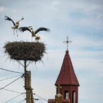 11 жовтня – яке сьогодні свято, прикмети і традиції, пам’ятні дати, іменини