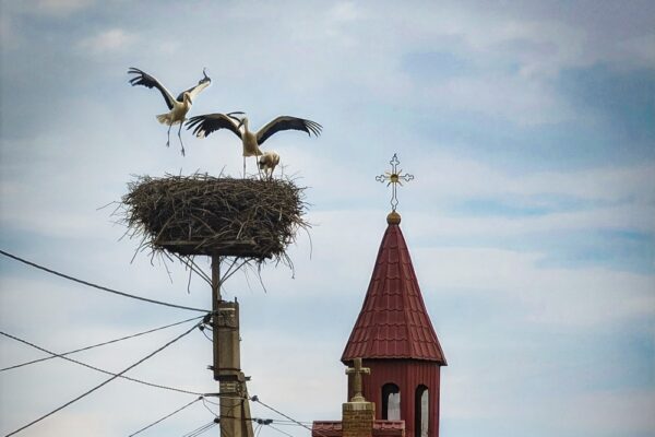 11 жовтня – яке сьогодні свято, прикмети і традиції, пам’ятні дати, іменини