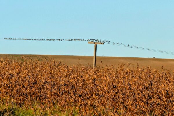 24 жовтня – яке сьогодні свято, прикмети і традиції, пам’ятні дати, іменини