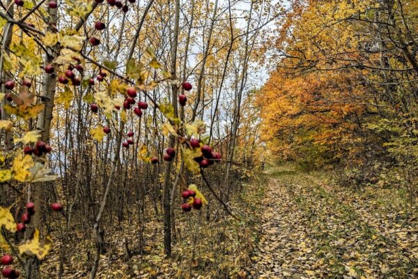 29 жовтня – яке сьогодні свято, прикмети і традиції, пам’ятні дати, іменини