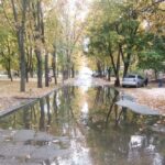 Дощі та холод: якою буде погода в Україні 14 жовтня