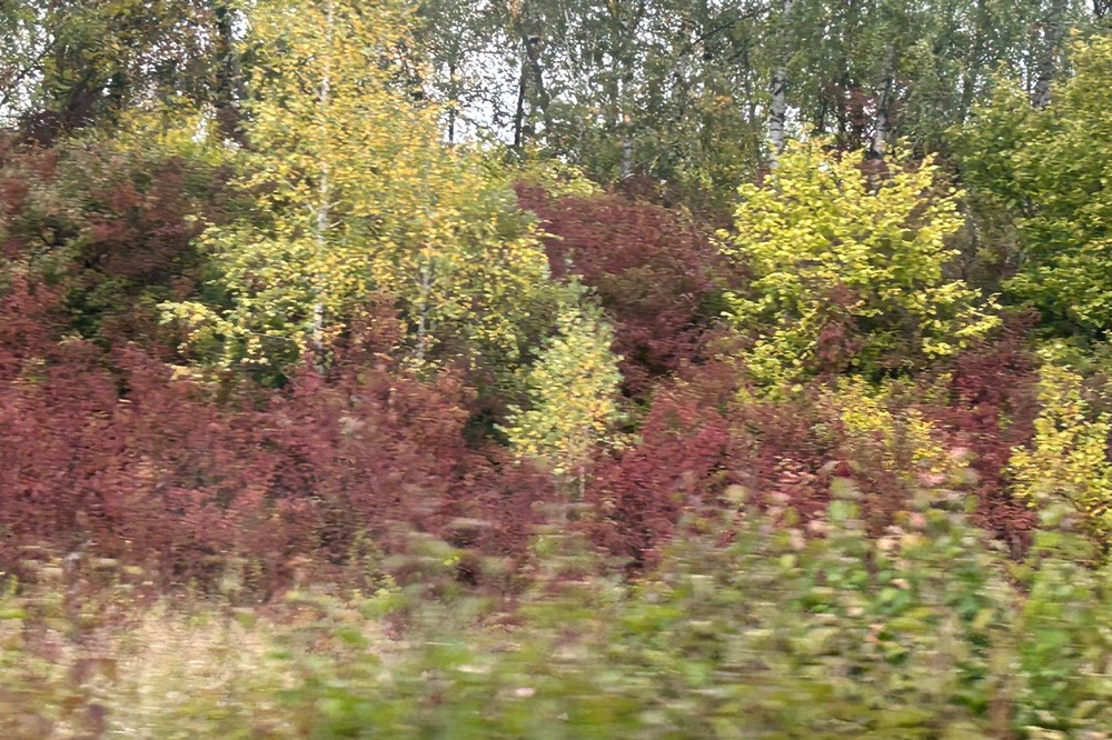 Погода в Україні