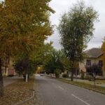 Дощі на заході і до + 20 у східних областях: якою буде погода в Україні 6 жовтня