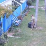 ТЦК не крали кота прямо з вулиці – пресслужба (відео)