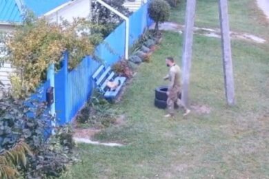 ТЦК не крали кота прямо з вулиці – пресслужба (відео)