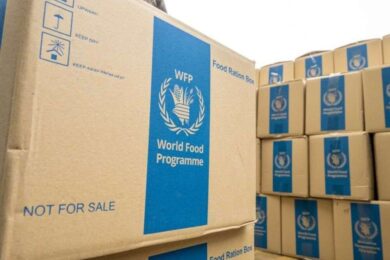 Триває видача продуктових наборів у Запорізькій області: де можна отримати