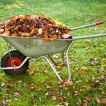 Місячний посівний календар на листопад 2025 – є можливість закласти основу майбутнього врожаю