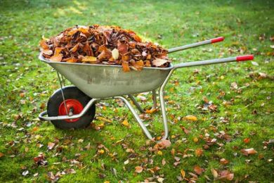 Місячний посівний календар на листопад 2025 – можливість закласти основу майбутнього врожаю