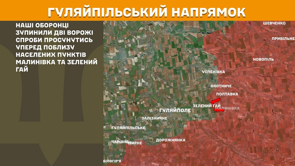 гуляйпільський n гуляйпільський n