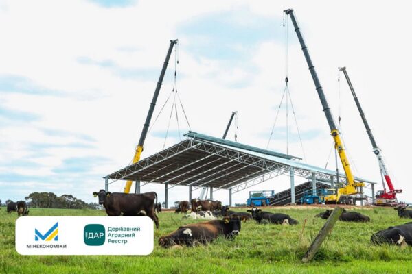 Стартує нова грошова допомога для аграріїв – як подати заявку і на що можна отримати кошти