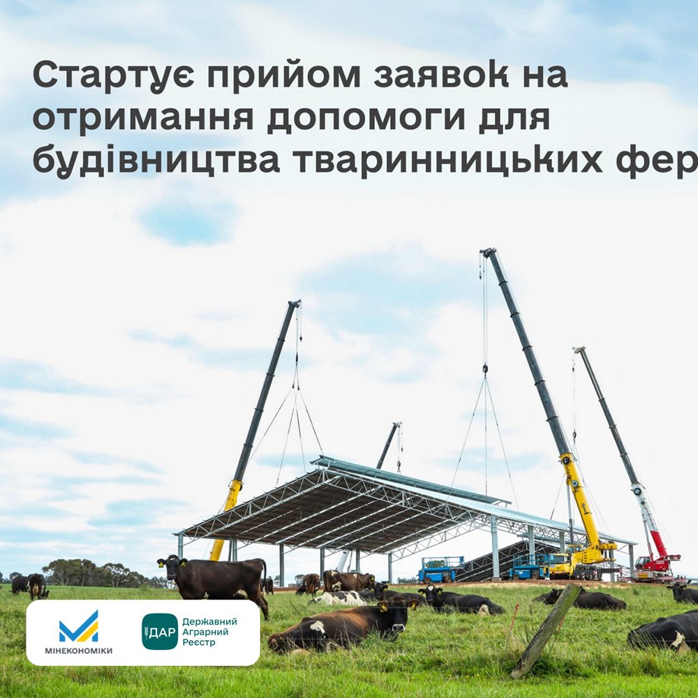 Стартує нова грошова допомога для аграріїв – як подати заявку і на що можна отримати кошти