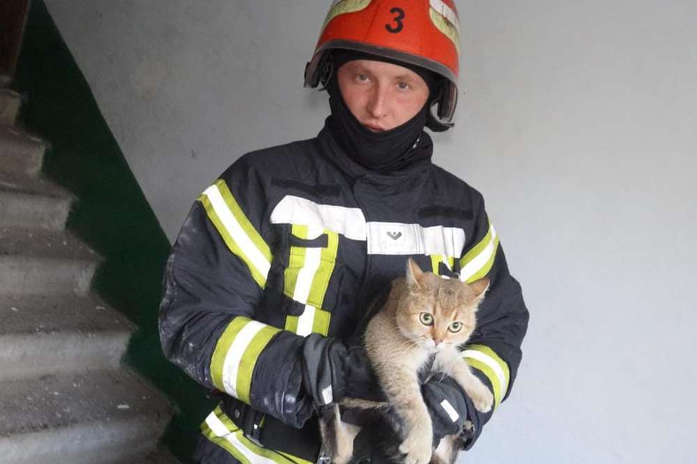 photo 2025 10 28 16 46 32 (3) photo 2025 10 28 16 46 32 (3)