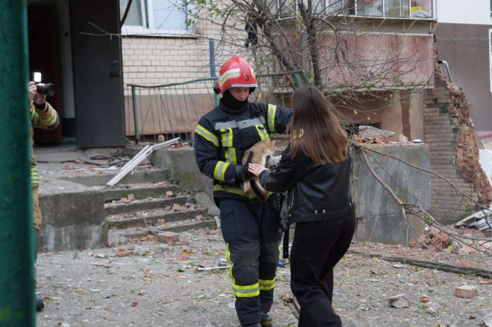 photo 2025 10 28 16 46 32 (4) photo 2025 10 28 16 46 32 (4)