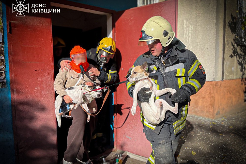 Мешканців, дворічну дитину та тварин евакуювали із задимленого будинку на Київщині (фото) Мешканців, дворічну дитину та тварин евакуювали із задимленого будинку на Київщині (фото)