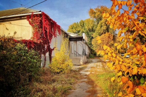 Як правильно прибрати сад восени - корисні поради