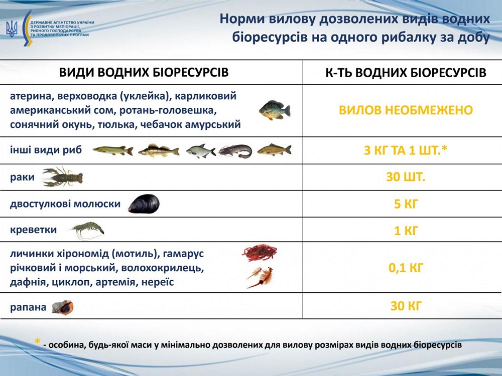Заборона на вилов риби стартувала в Україні Заборона на вилов риби стартувала в Україні