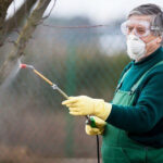 Оброблення дерев восени — коли та як зробити