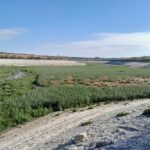 «Через колишнє Каховське водосховище ворог пробує зайти у фланг ЗСУ, лізе через очерет, але наші їх знищують» – Сили оборони Півдня про ситуацію на Запоріжжі і Дніпропетровщині